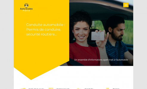 https://www.auto-ecoles-paris.com